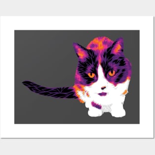 The Hot Cat Posters and Art